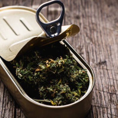 Hemp in a tuna can