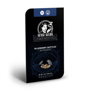 Blueberry Zkittlez Auto Feminized | Sensi Seeds Blueberry Zkittlez Auto Feminized | Sensi Seeds