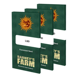 LSD Feminized Seeds | Barney's Farm