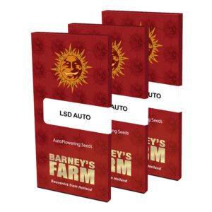 LSD Auto Feminized Seeds | Barney's Farm