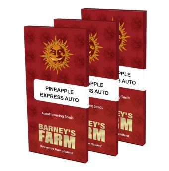 Barneys-Farm-pineapple-express-auto-seeds-boxed.jpg