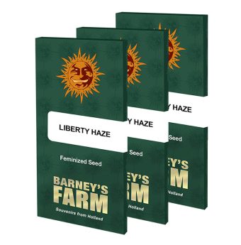 barneys-farm-liberty-haze-feminized-seeds.jpg