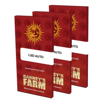 lsd-auto-feminised-seeds.jpg